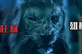 雄狮来到人类的世界，开始攻击人类视频封面