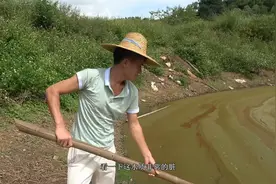 农村承包了10多亩鱼塘，因水质太脏，小哥决定用这方法解决！视频封面