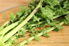 萝卜缨子水饺这样做，味道太棒了，鲜香美味，全家都超爱吃视频封面