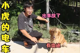 小虎的电车倒在路沟边，而且旁边还有血迹，这是发生什么事了？