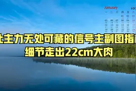 让主力无处可藏的信号主副图指标，细节走出22cm大肉视频封面