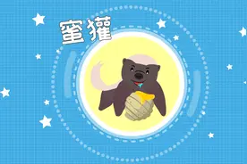 动物界的扛把子平头哥是什么动物视频封面