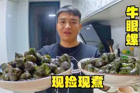 住海边菜都不用买，趁煮饭时间去海边抓，现抓现煮才够新鲜美味视频封面