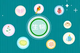 生物是怎么分类的？视频封面