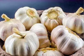 蜂蜜和大蒜泡在一起，解决了很多男人的烦恼，真是涨知识了