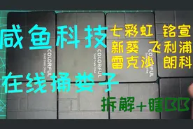 咸鱼科技固态硬盘拆解之七彩虹铭瑄飞利浦新葵雷克沙朗科篇视频封面