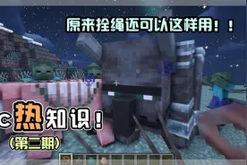 【Mc热知识】原来只要这样做，拴绳就可拴万物，还不快进来学起来视频封面