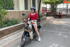 本田幼兽也坏了