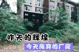 大邑，成都化工压力容器厂区，废弃了，长满野草灌木，人去哪儿了