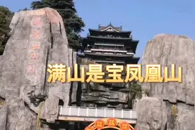 南京这座二千多年的凤凰山，怪石嶙峋，随便挖出一块都是宝贝视频封面