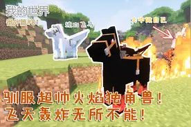 我的世界番外篇81：教你驯服超帅火焰独角兽！飞天轰炸无所不能！