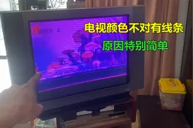 电视机颜色不正常，屏幕有线条？原因特别简单，不换零件就能修好视频封面