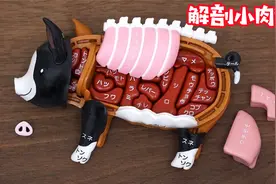 你知道猪猪那个部位的肉最贵吗？解剖小黑猪创意玩具视频封面