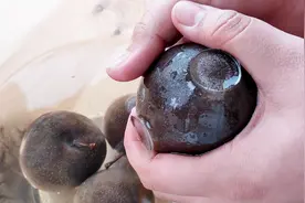 东北特色冻货，牙不好可吃不了，冻梨这么吃才正宗视频封面