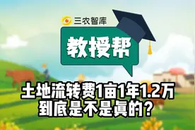 土地流转费1亩1年1.2万到底是不是真的？视频封面