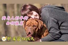 狗与人的年龄如何换算？不同犬种有着不同的计算方式