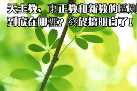 天主教、東正教和新教的區別到底在哪裡？終於搞明白了！视频封面