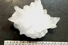创世界纪录！阿根廷现全世界最大冰雹 大小如足球落地发出巨响视频封面