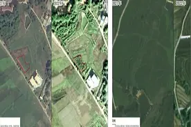 全国首个！广东耕地覆盖监测系统，分辨率达到0.5米视频封面