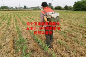 这个玉米田除草剂配方，玉米3～9叶期都能用，还可以重喷视频封面