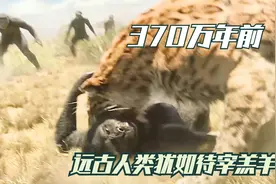 370万年前人类祖先，还是浑身毛绒绒的，一出场就被花豹锁喉！视频封面