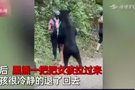 3名女子路遇黑熊被熊抱！闻来闻去还摸大腿，现场视频令人揪心视频封面