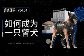 看了狗考公务员的难度，我觉得还是做人简单视频封面