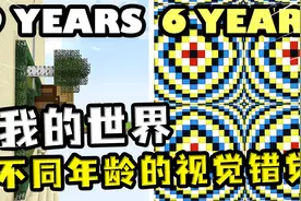 我的世界：不同年龄的视觉幻觉，6岁只有视觉，16岁全都是幻觉视频封面