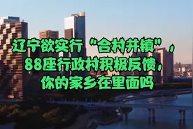 辽宁欲实行“合村并镇”，88座行政村积极反馈，你的家乡在里面吗视频封面