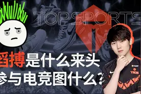 滔搏是家怎样的公司？参与电竞图什么？【硬气韭菜Leek】视频封面