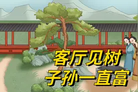 “客厅见树，子孙一直富”，4种吉祥树，客厅养一盆，大气吉利视频封面