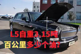 红旗L5自重3.15吨，网友分享V12真实油耗，结果难以置信视频封面
