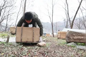 年轻人都进城了小伙却始终不想进城？就是因为这清静散漫的生活！视频封面