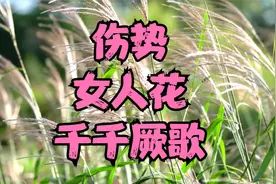 经典老歌KTV：女神KTV必点《女人花》《伤逝》《千千阙歌》视频封面