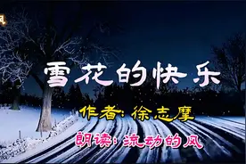 徐志摩深情现代诗欣赏《雪花的快乐》飞扬、飞扬，你有你的方向视频封面