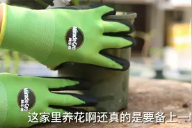 养花把手弄脏怎么办？园艺师教你，使用园艺手套，干净防滑又防刺