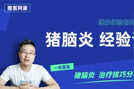 猪脑炎，十余年一线兽医经验谈，让脑炎猪一针站立、两针恢复采食视频封面