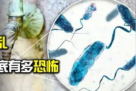 世界上最可怕的传染病之一，霍乱到底有多恐怖？人们又该如何预防视频封面