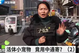 网购宠物狗竟是快递发货？记者暗访内幕揭开，快递公司这样回答视频封面