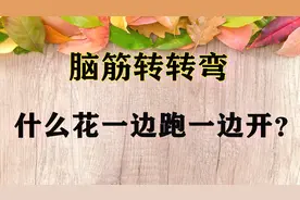 什么花一边跑一边开？是“麻花”吗？你能想到什么答案？