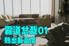 霸道总裁 贱出新高度 做梦也想不出来剧情