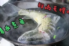 草鱼别做老一套，整条放锅里清水煮，不蒸不油炸，鱼肉鲜嫩无腥味视频封面