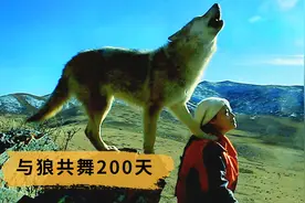 现实版“与狼共舞”，美女画家千里送狼，不可再现的宝藏级纪录片