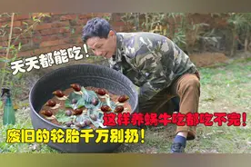 家里废旧轮胎千万别扔！教你这样养蜗牛效果太好了，原来这么简单视频封面