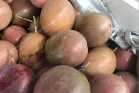 如何挑选好吃的百香果？夏天多喝百香果汁，百香果的功效和作用