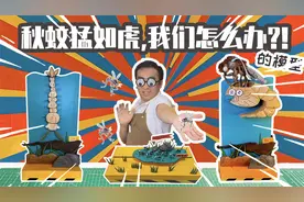 入秋蚊子越咬越凶怎么回事？蚊子宝宝都是从哪来的？视频封面