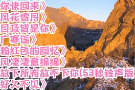 你快回来。风花雪月。目及皆是你。粉红色的回忆。风凄凄意绵绵。视频封面