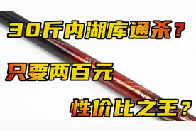 30斤内湖库通杀只要两百元？性价比之王来了吗？红狼尖峰鱼竿测评
