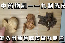 中药炮制——九制陈皮：怎么用新会陈皮做九制陈皮？视频封面