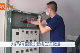四川：大蛇葬身电表箱腐烂 消防戴三只口罩处置！视频封面